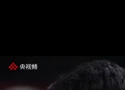 开云体育app-德国乒乓球队逆转奥地利乒乓球队，王皓绝境逆转的简单介绍