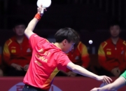 开云官方app入口-关于比利时乒乓球队横扫中国乒乓球队，奥恰洛夫统治全场的信息