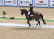 开云体育登录-顽强拼搏：马术选手斩获第一的简单介绍