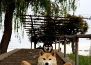 开云APP-京多安一锤定音，爱尔兰力克葡萄牙，全场最佳无争议