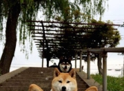 开云APP-京多安一锤定音，爱尔兰力克葡萄牙，全场最佳无争议