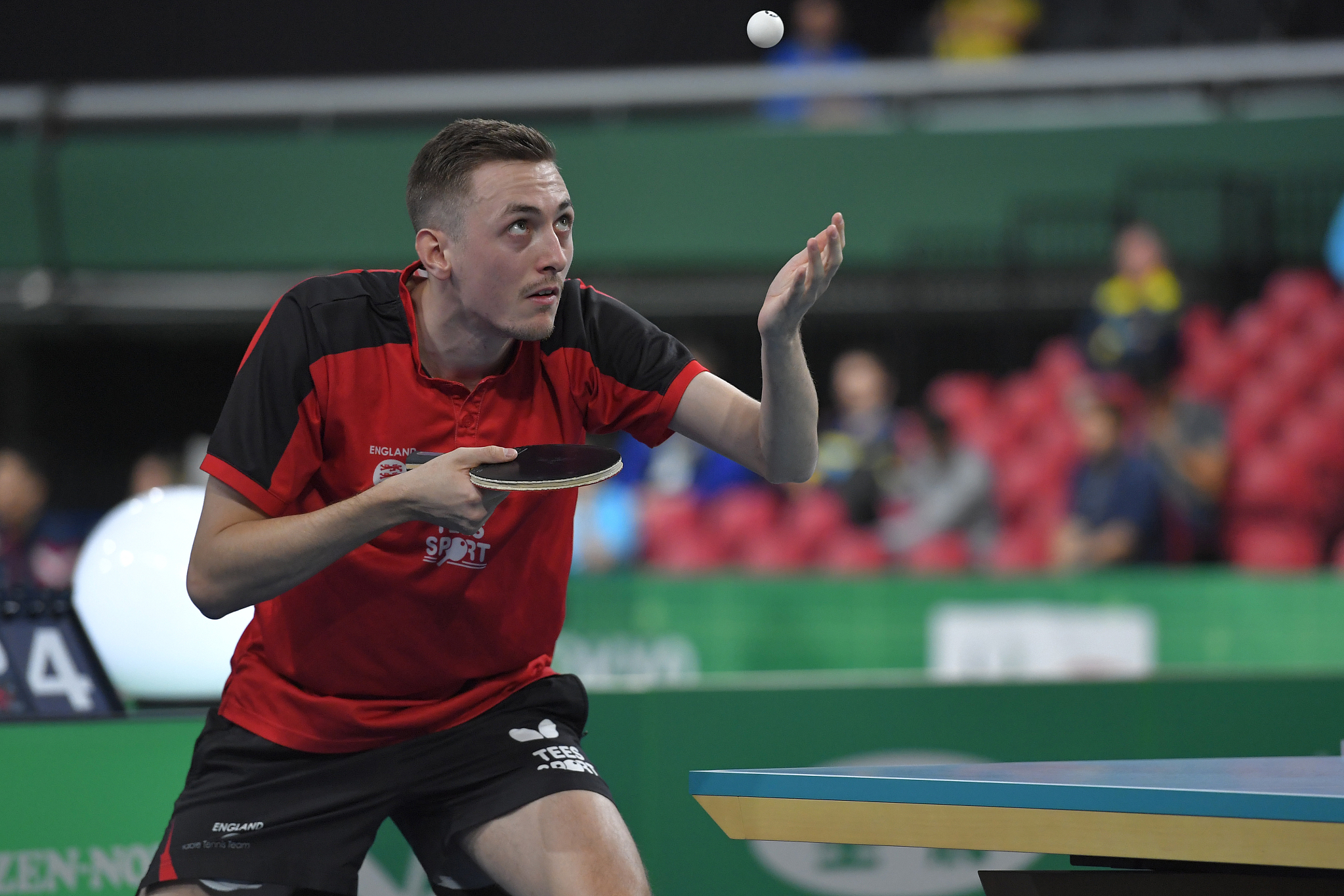 日本乒乓球队力克奥地利乒乓球队，波尔制霸全场