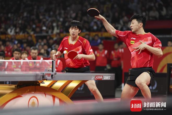日本乒乓球队横扫法国乒乓球队，马龙送出助攻的简单介绍