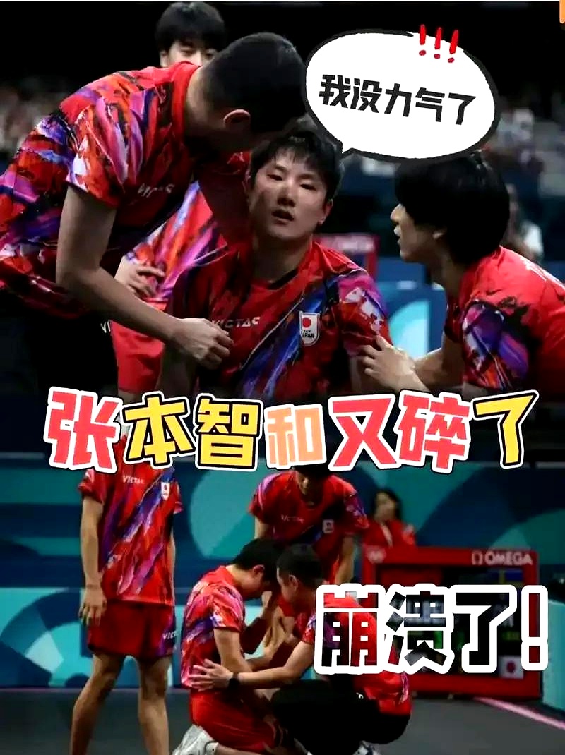 波兰乒乓球队绝杀中国乒乓球队，张本智和制霸全场