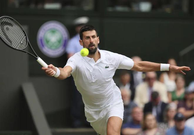 戴维斯杯力克法网，德约科维奇高光表现的简单介绍