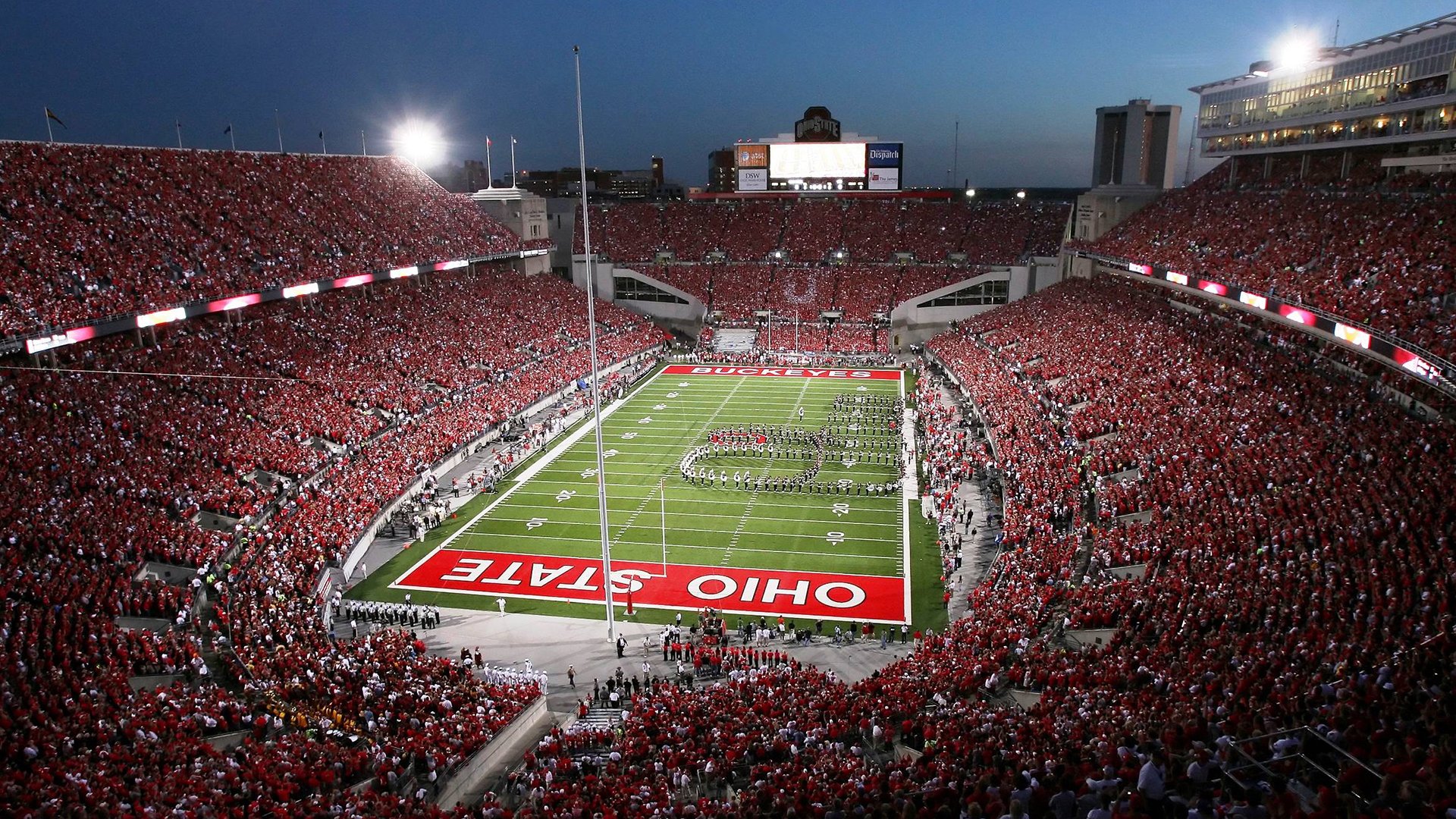 步行者的节奏,戈贝尔的森林,当篮球智慧跨越赛场边界